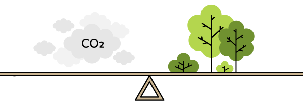 drawing of simple scale with clouds labeled CO2 on left and trees on right